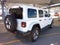 2019 Jeep Wrangler Unlimited Sahara 4x4