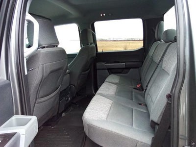 2023 Ford F-150 XLT 4WD SuperCrew 5.5' Box