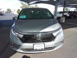2024 Honda Odyssey EX-L Auto