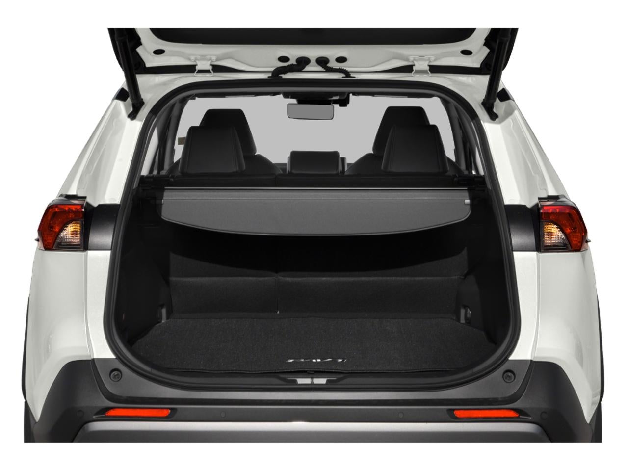 2019 Toyota RAV4 Limited AWD (Natl)