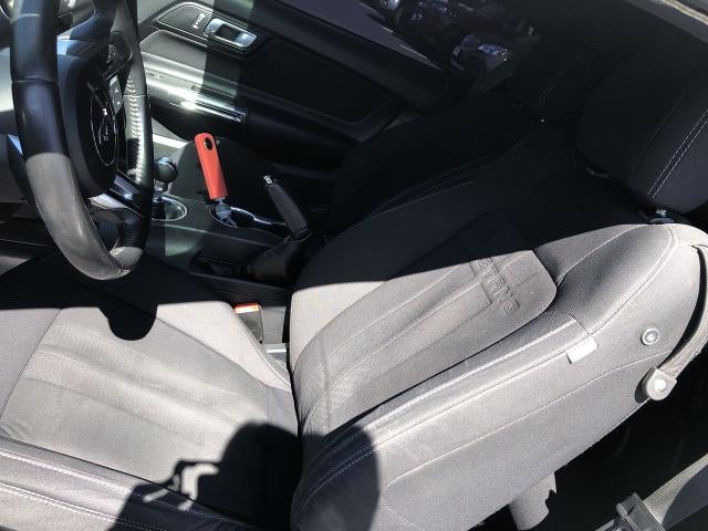 2019 Ford Mustang GT Fastback