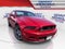 2013 Ford Mustang 2dr Cpe GT Premium