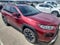 2019 Toyota RAV4 Adventure AWD (Natl)