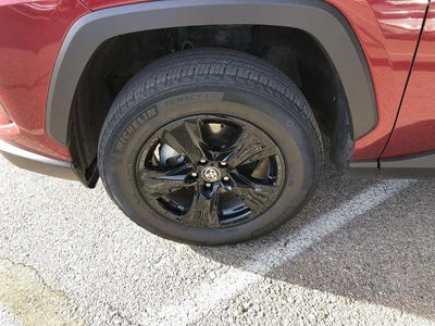 2024 Toyota RAV4 XLE AWD (Natl)