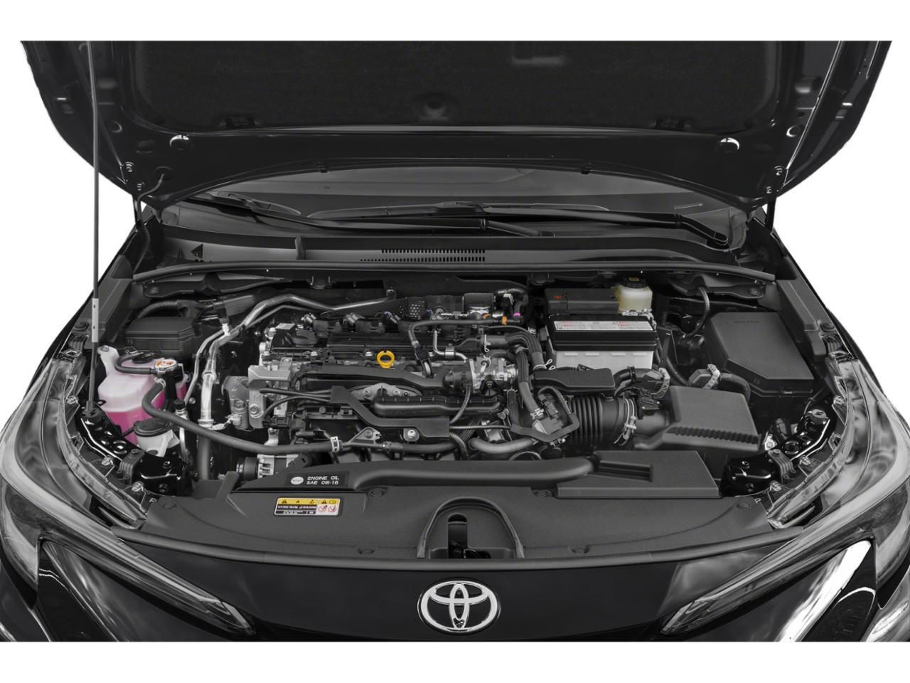 2024 Toyota Corolla XSE CVT (Natl)