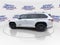 2026 Toyota Sequoia Platinum 4WD (Natl)