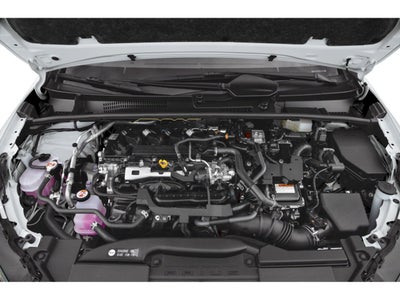 2023 Toyota Prius XLE (Natl)