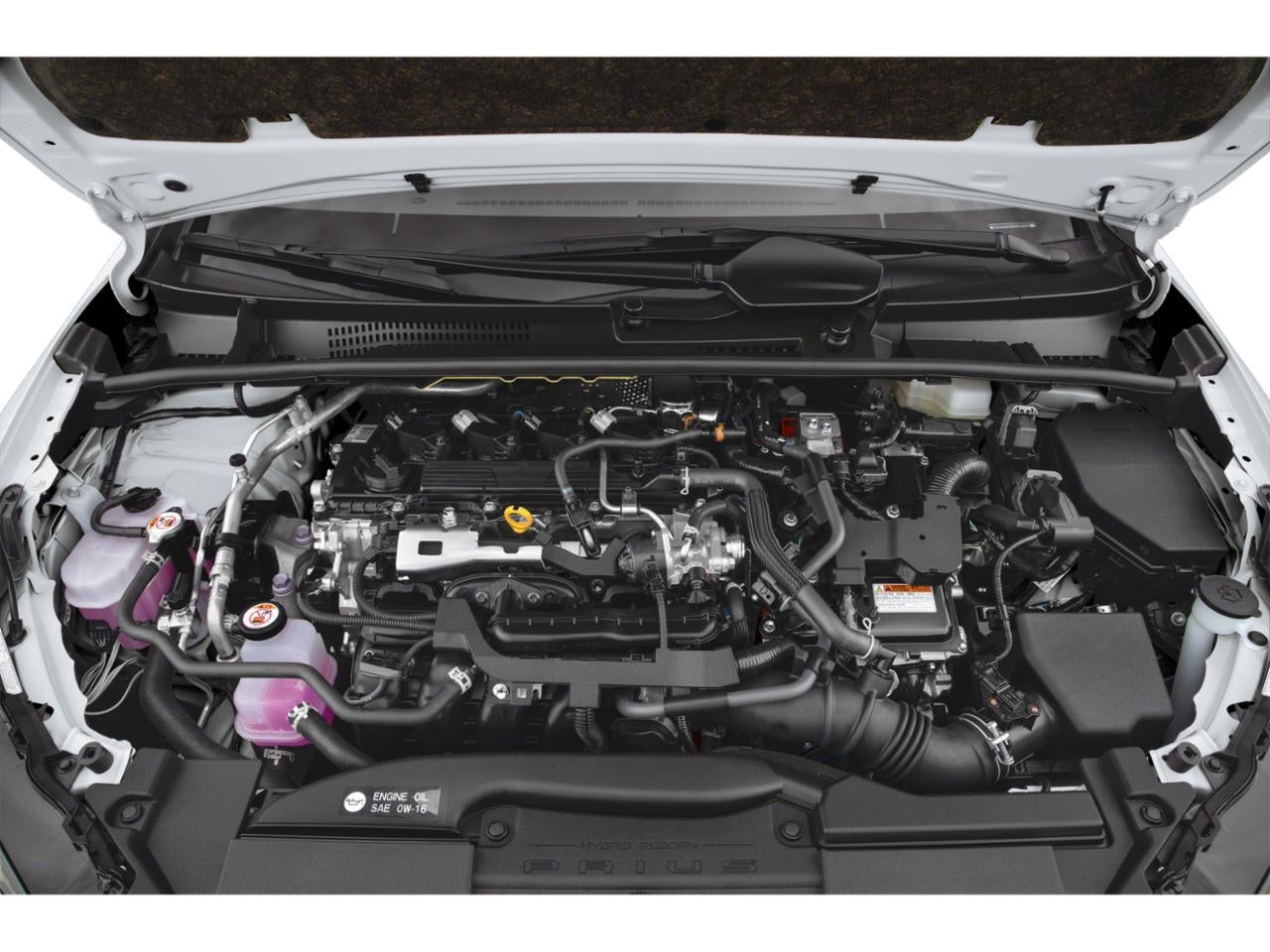 2025 Toyota Prius XLE AWD (Natl)