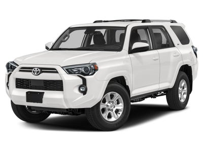 2024 Toyota 4Runner SR5 Premium 4WD (Natl)