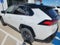 2023 Toyota RAV4 Hybrid XSE AWD (Natl)